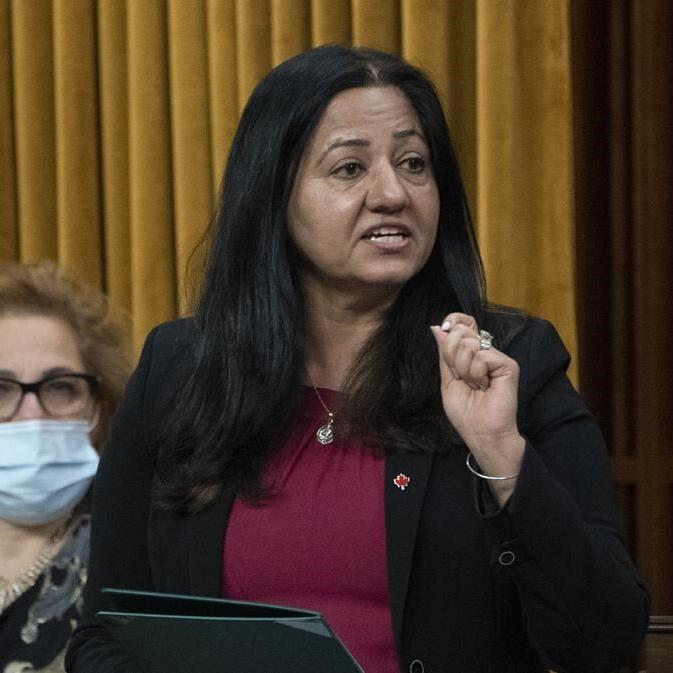 Federal government reveals plan to improve access to diabetes care across Canada